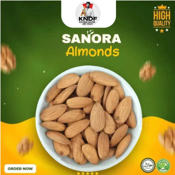 Sanora Badam Giri